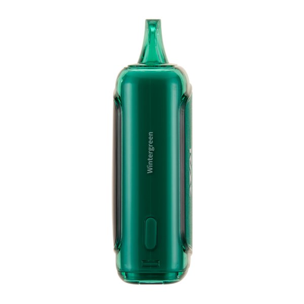 Wintergreen RAZ DC25000 - Vapefiniti - Disposables - RAZ DC25000